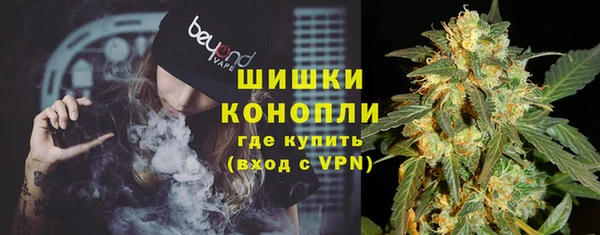 дживик Балахна