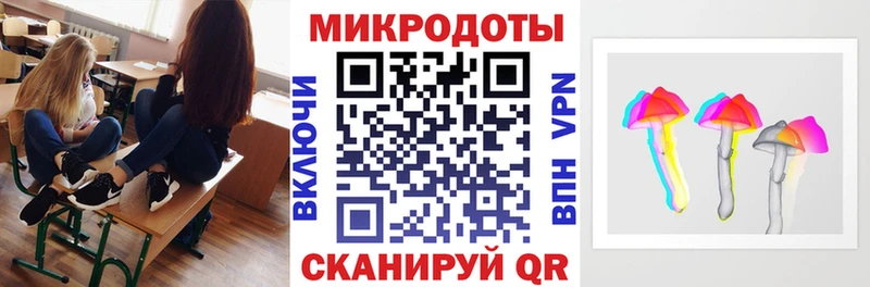 shop наркотические препараты  ссылка на мегу онион  Судак  купить   Галлюциногенные грибы Psilocybe 