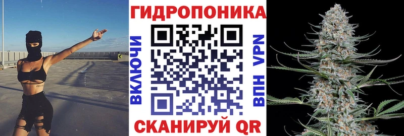 МАРИХУАНА семена  гидра   Судак 